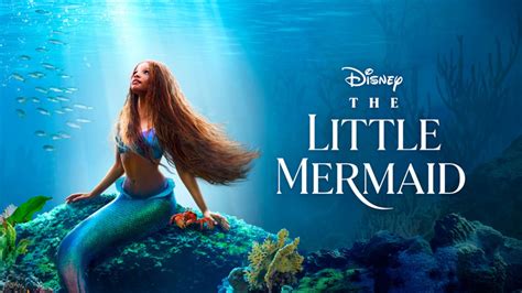 the little mermaid 2023 porn|Disney Cast a “Really Sexy” Porn Star in ‘The Little Mermaid’。